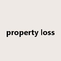property loss是什么意思