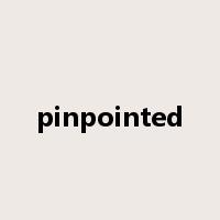 pinpointed是什么意思