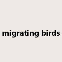 migrating birds是什么意思