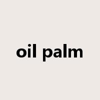 oil palm是什么意思