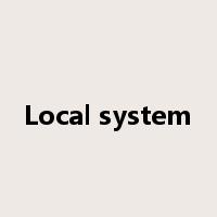 Local system是什么意思