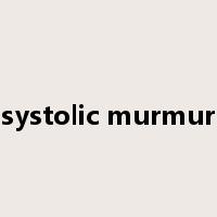systolic murmur是什么意思