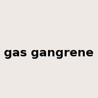 gas gangrene是什么意思