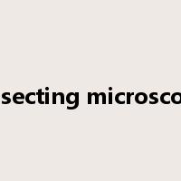 dissecting microscope是什么意思
