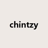 chintzy是什么意思