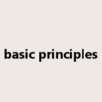 basic principles是什么意思