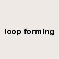 loop forming是什么意思
