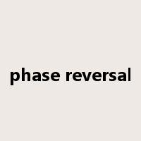 phase reversal是什么意思