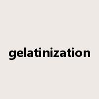 gelatinization是什么意思
