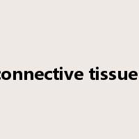 mixed connective tissue disease是什么意思