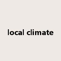 local climate是什么意思