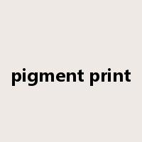 pigment print是什么意思