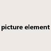 picture element是什么意思
