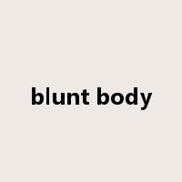 blunt body是什么意思