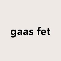 gaas fet是什么意思