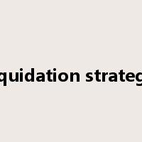 liquidation strategy是什么意思